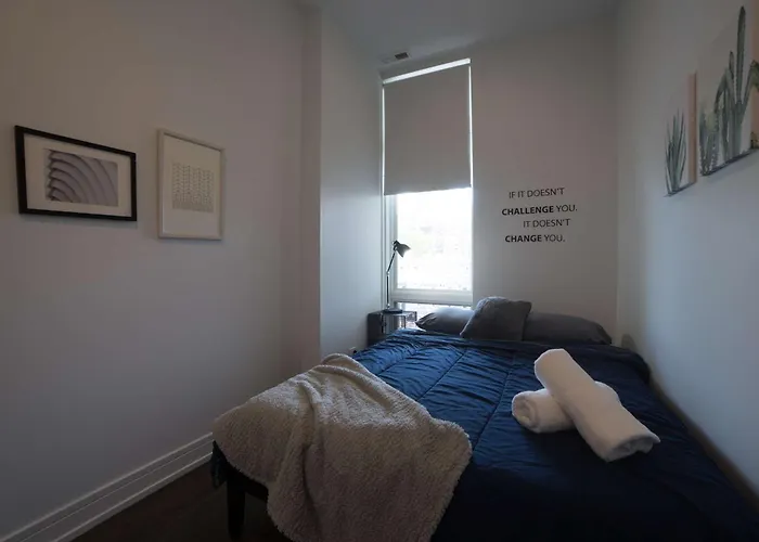 Large 4-bedroom Upscale W Rooftop Chicago